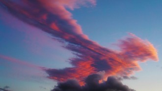 Phoenix cloud