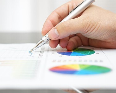 Businessman Analysing Report