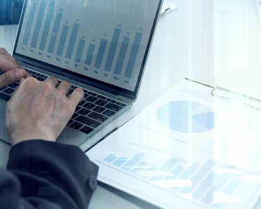 Shareholder Looking At Finance